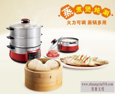 苏泊尔电蒸锅图片