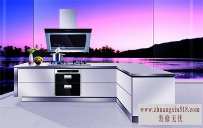 厨卫什么牌子好