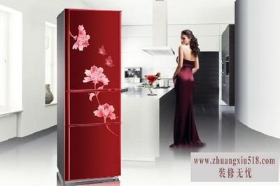澳柯玛冰箱型号