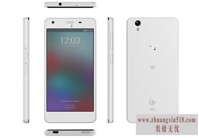 中兴青漾2格机