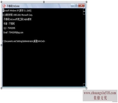 cmd命令查看ip