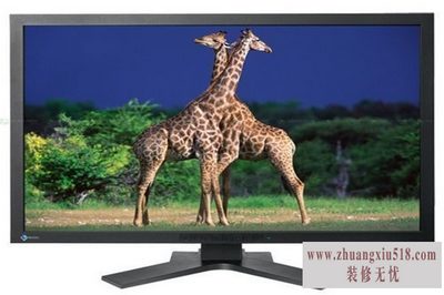 eizo显示器推荐
