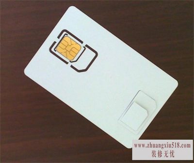 micro-sim