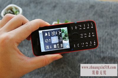 诺基亚208什么系统