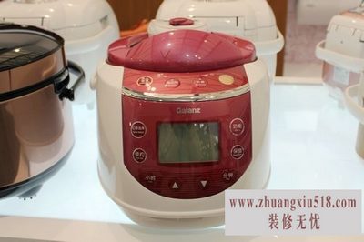 2014电压力锅十大品牌排行榜