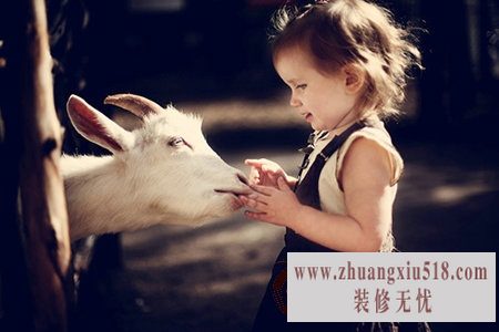十羊九不全.jpg