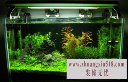 20110325174711807.jpg