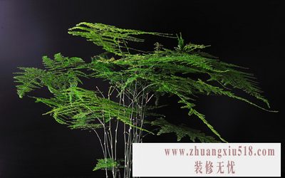 辰ֲ