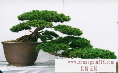 辰ֲ