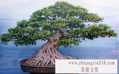 辰